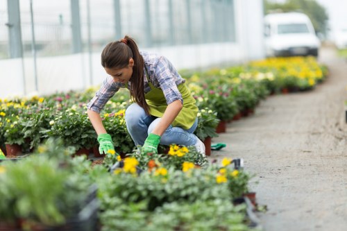 Gardener trimming a hedge in Lambeth with protective gloves
