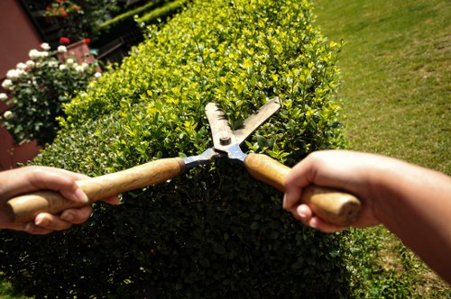 A close-up view of a neatly trimmed green hedge in a front garden, with two hands holding garden shears actively shaping the shrub. The hedge features dense, vibrant foliage with small, shiny leaves, and runs along a paved area with a lush, well-maintained grass lawn adjacent to it. In the background, there is a neatly bordered flower bed with blooming plants, and the overall setting appears to be a sunny, clear day. This outdoor garden scene reflects regular hedge trimming practices typical for residential landscaping services in Lambeth, contributing to a tidy and aesthetically pleasing garden environment. The focus on the hedge and tools highlights professional gardening and trimming work, suitable for a service website like hedgetrimminglambeth.co.uk.