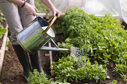 Lawn mowing and turf care in a communal Lambeth garden